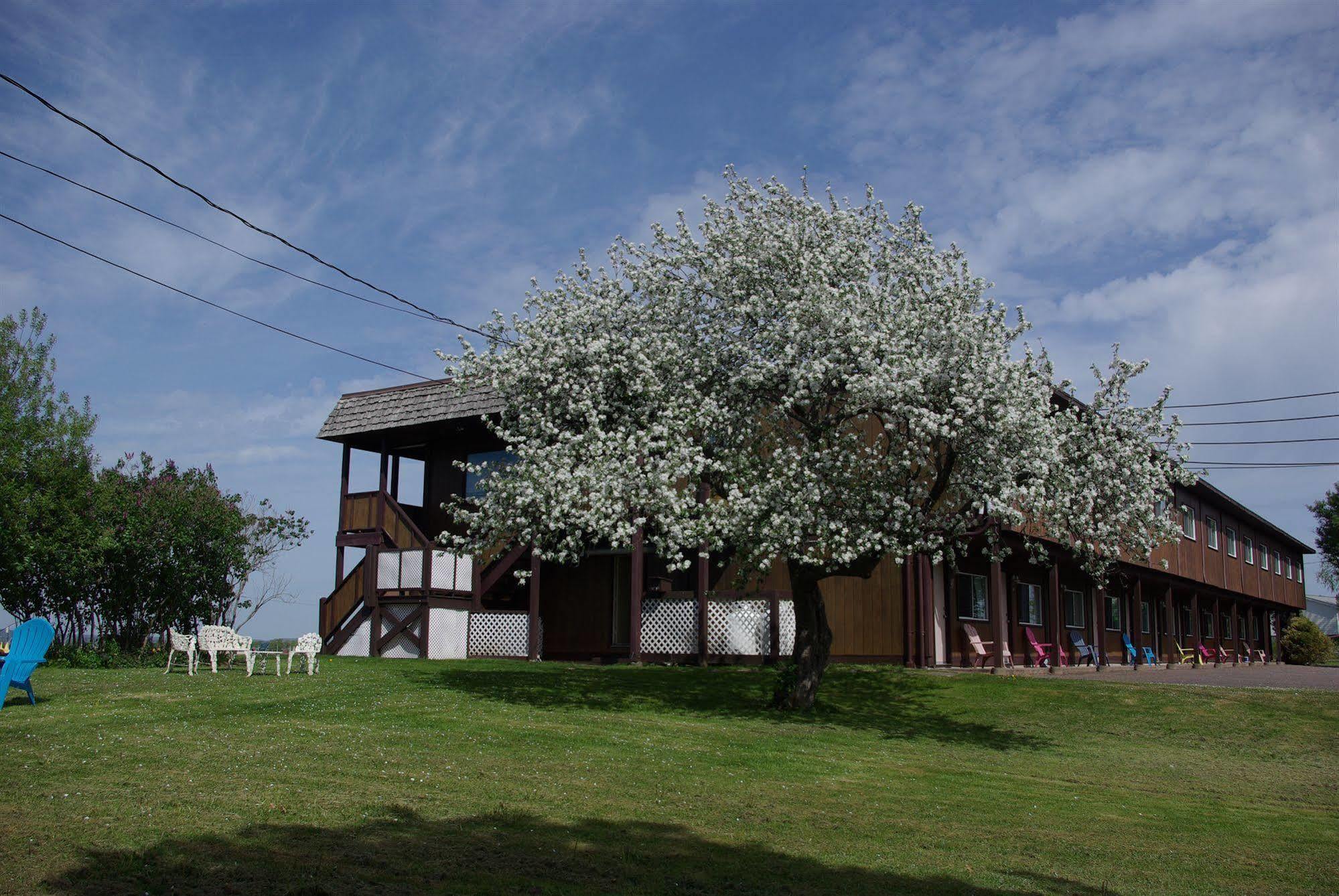 Tidal Bore Inn Truro Exterior photo